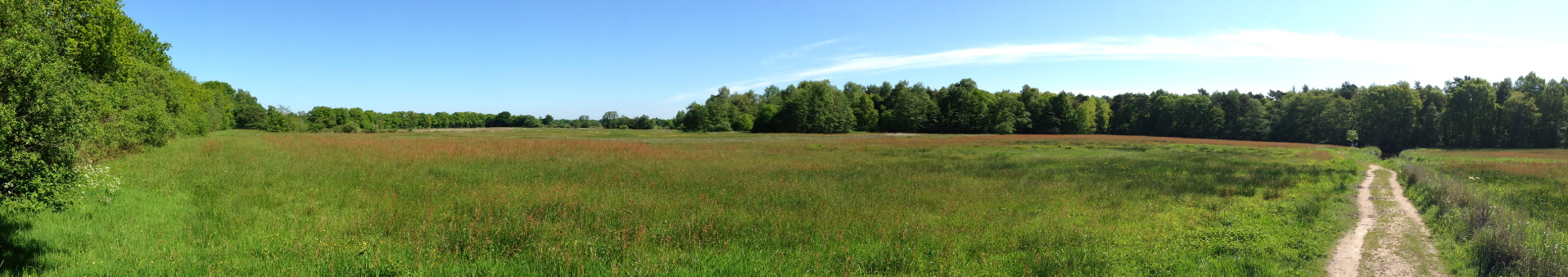 Rolf Koops Consult | foto's: BuildinG